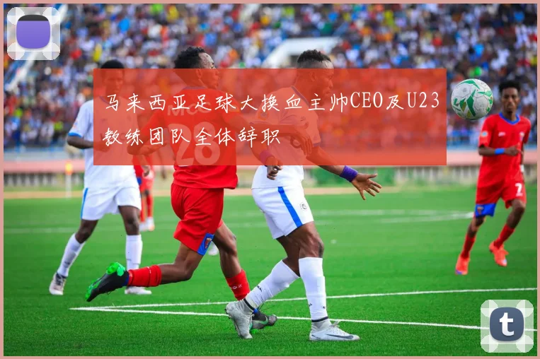 马来西亚足球大换血主帅CEO及U23教练团队全体辞职
