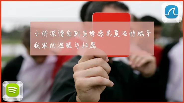 小桥深情告别黄蜂感恩夏洛特赋予我家的温暖与归属